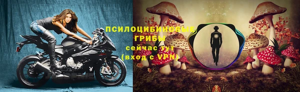 скорость Алзамай